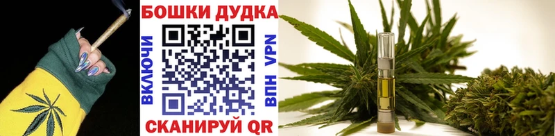 Каннабис семена  как найти наркотики  Берёзовский 